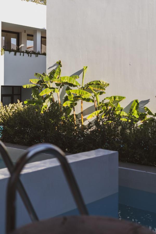 Cavo Vezal (Adults Only) Hotel Laganas Bagian luar foto